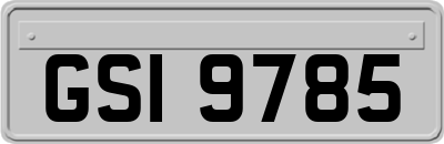 GSI9785