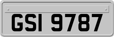 GSI9787