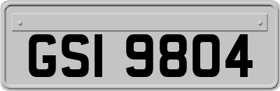 GSI9804