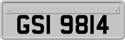 GSI9814