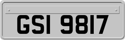 GSI9817