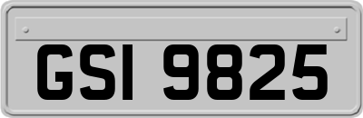 GSI9825