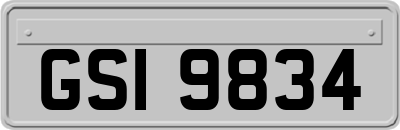 GSI9834