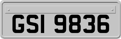 GSI9836