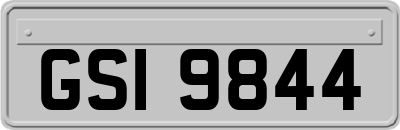 GSI9844