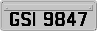 GSI9847