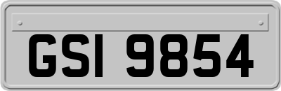 GSI9854
