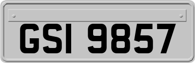 GSI9857