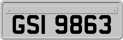 GSI9863