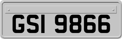 GSI9866