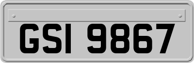 GSI9867