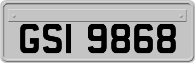 GSI9868