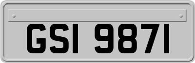 GSI9871