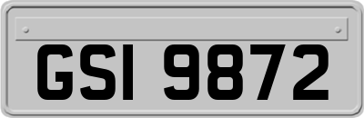 GSI9872