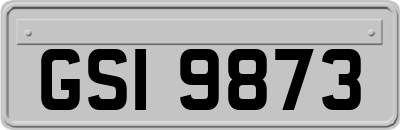 GSI9873
