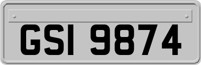 GSI9874