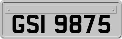 GSI9875