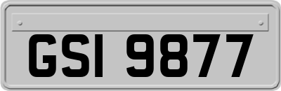 GSI9877