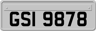 GSI9878