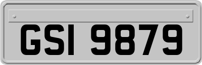 GSI9879