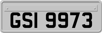 GSI9973