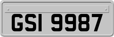 GSI9987