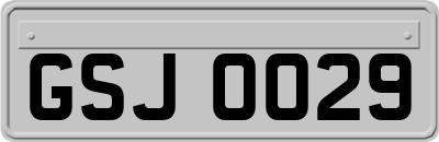 GSJ0029