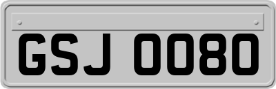 GSJ0080