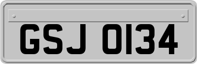 GSJ0134