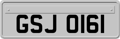 GSJ0161