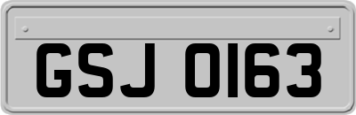 GSJ0163