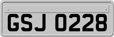 GSJ0228