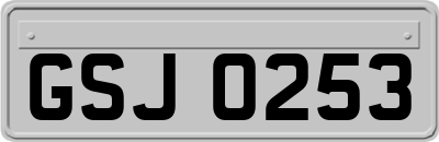 GSJ0253