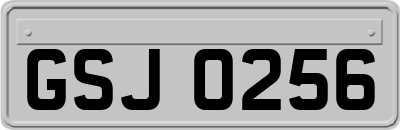 GSJ0256