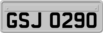 GSJ0290