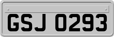 GSJ0293