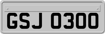 GSJ0300