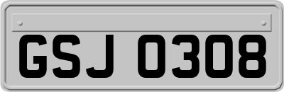 GSJ0308