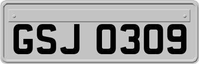 GSJ0309