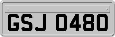 GSJ0480