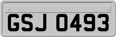 GSJ0493