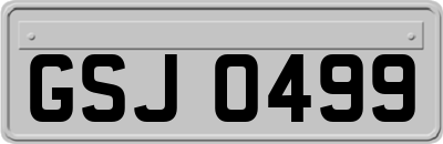 GSJ0499
