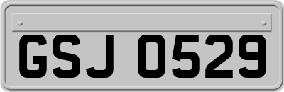 GSJ0529