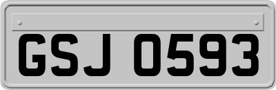 GSJ0593