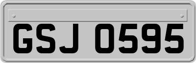GSJ0595