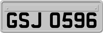 GSJ0596