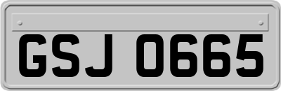 GSJ0665