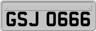 GSJ0666