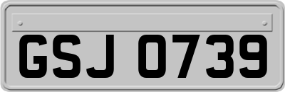 GSJ0739