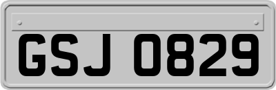 GSJ0829